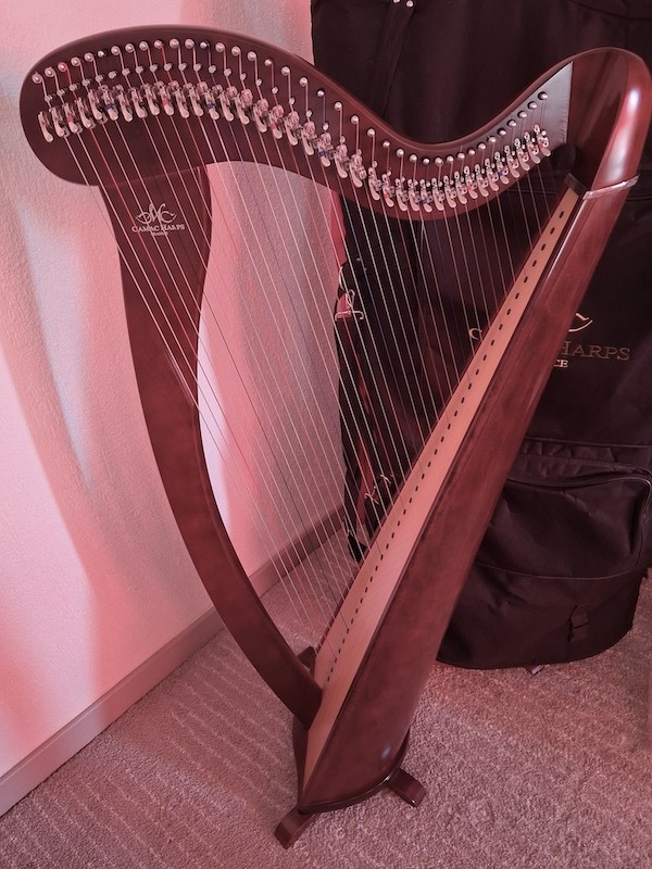 harpe mélusine 38 cordes camac