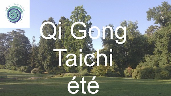 Qi Gong et Taichi au parc, été