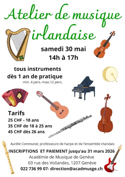 ensemble irlandais avec harpe,violon,guitares,accordéon,flutes,tambour