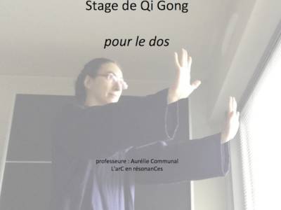 Stage de Qi Gong pour le dos 