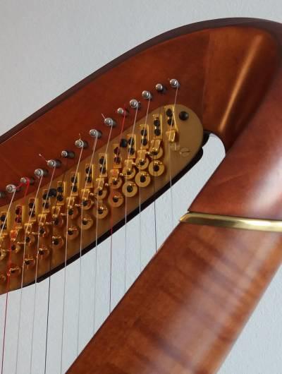 Cours de harpe et de solfège par webcam