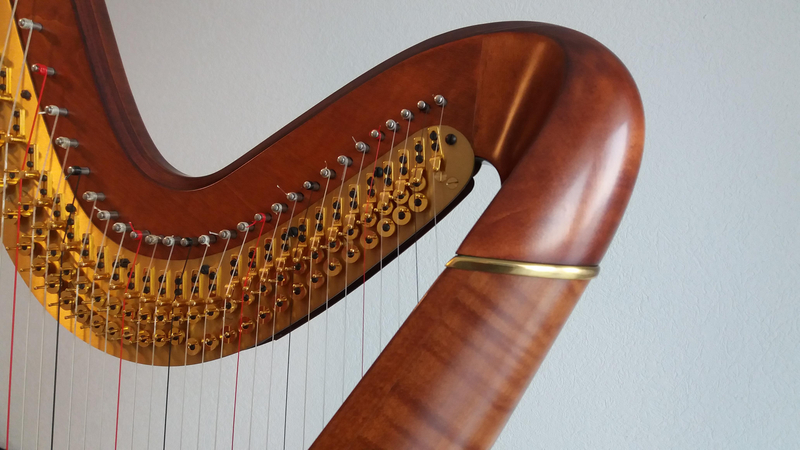 Cours de harpe et de solfège par webcam